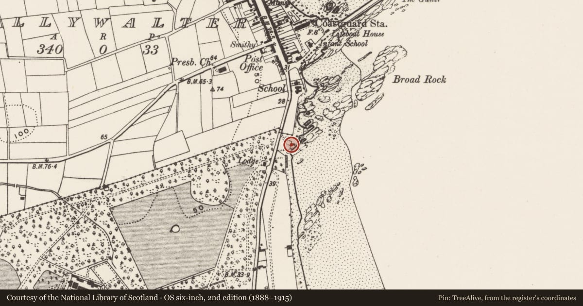 Ordnance Survey six-inch map, 2nd edition (1888–1915) covering the location of Lime Kilns, Adjacent to 8 Springvale Road, Ballywalter BT22 2PE, Ards and North Down, with a pin at the register's coordinates