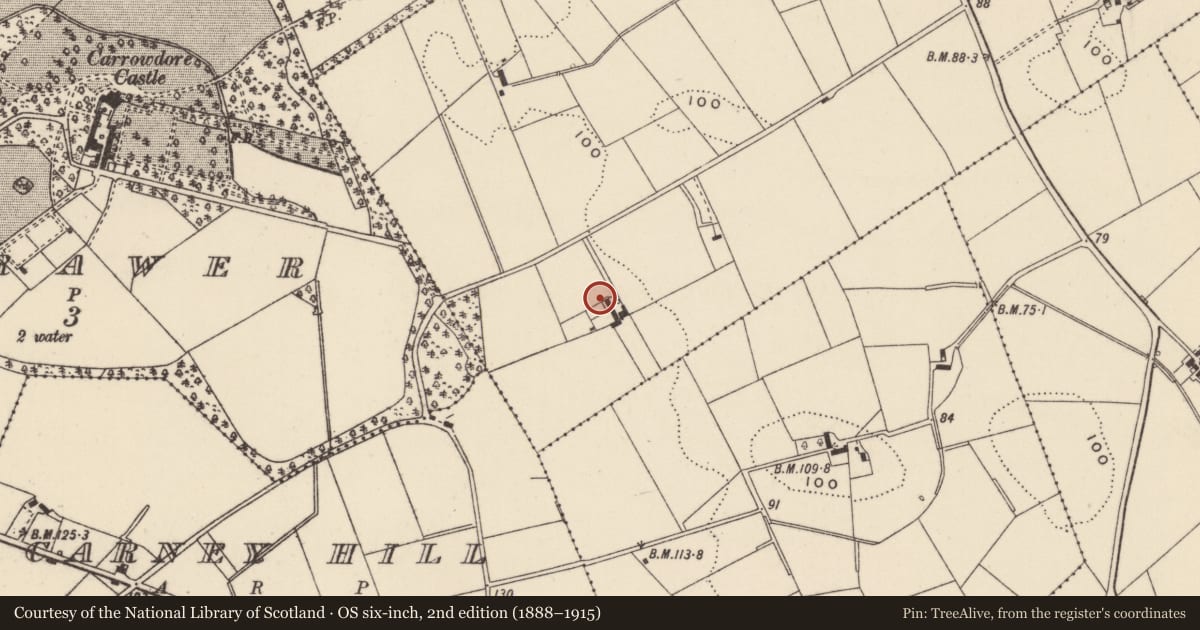 Ordnance Survey six-inch map, 2nd edition (1888–1915) covering the location of 16 Kilbright Road, Ballyhaskin, Ards and North Down, with a pin at the register's coordinates