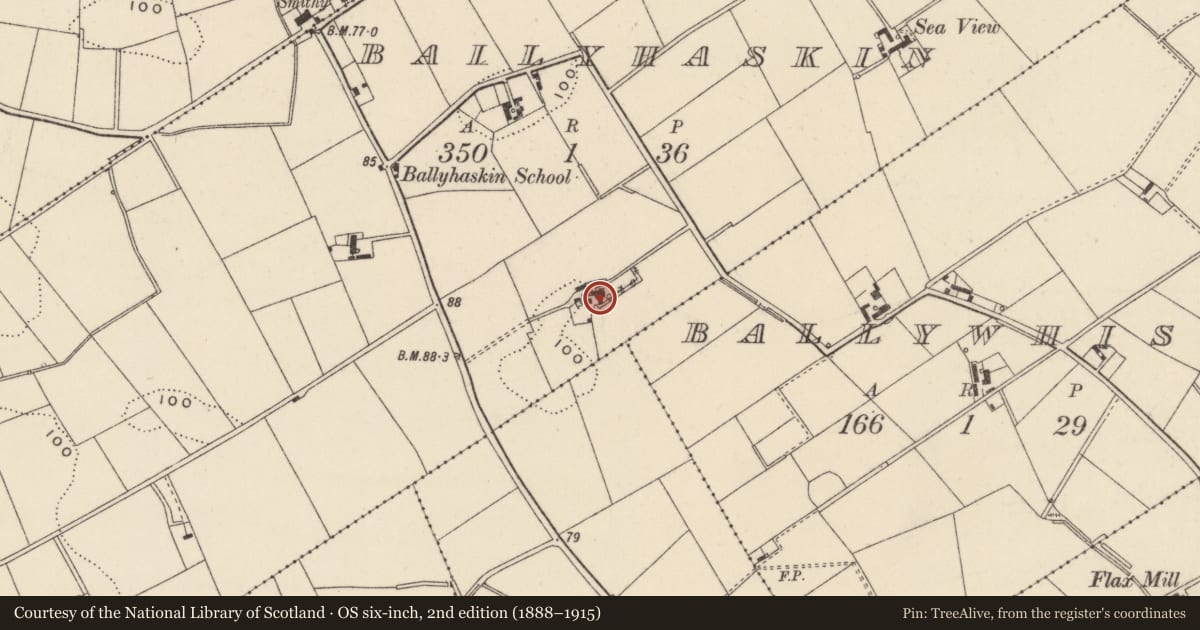 Ordnance Survey six-inch map, 2nd edition (1888–1915) covering the location of Hillside, Ballyhaskin, Ards and North Down, with a pin at the register's coordinates