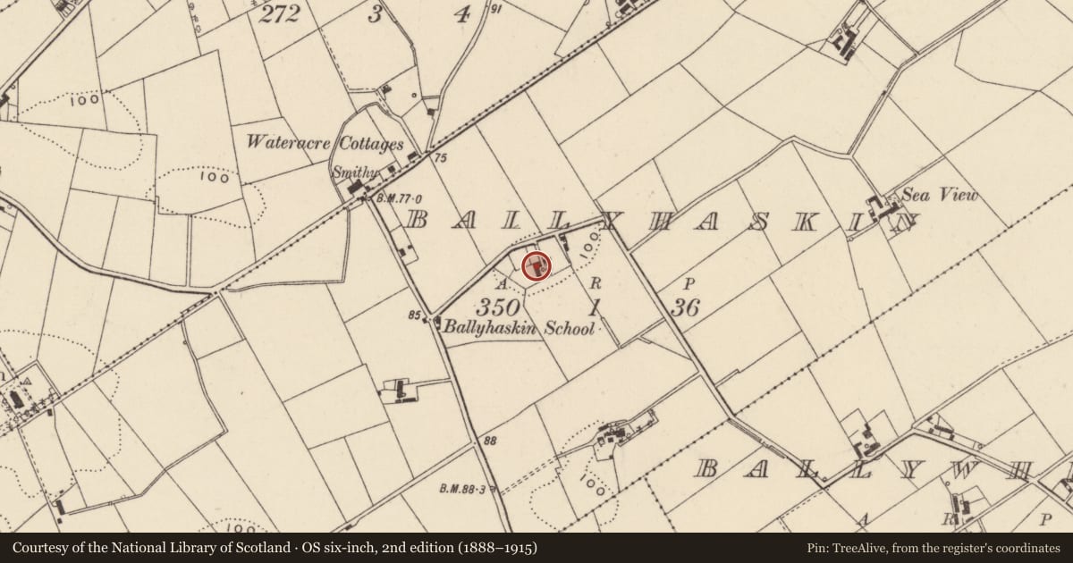 Ordnance Survey six-inch map, 2nd edition (1888–1915) covering the location of Fairview, Ballyhaskin, Ards and North Down, with a pin at the register's coordinates