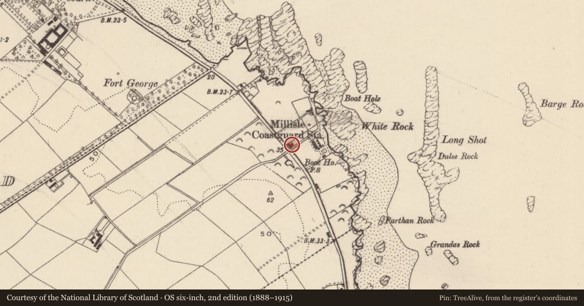 Ordnance Survey six-inch map, 2nd edition (1888–1915) covering the location of 189 Ballywalter Road, Ballyhaskin, Ards and North Down, with a pin at the register's coordinates