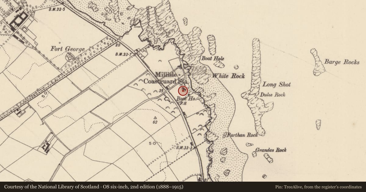 Ordnance Survey six-inch map, 2nd edition (1888–1915) covering the location of Millisle coastguard station houses, Ballyhaskin, Ards and North Down, with a pin at the register's coordinates