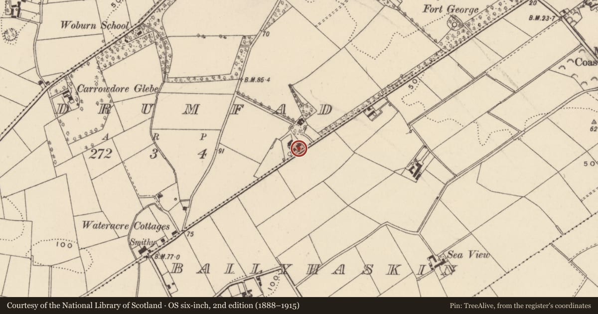 Ordnance Survey six-inch map, 2nd edition (1888–1915) covering the location of 27 Drumfad Road, Ards and North Down, with a pin at the register's coordinates
