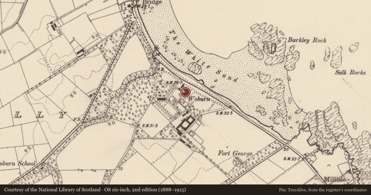 Ordnance Survey six-inch map, 2nd edition (1888–1915) covering the location of Woburn House, Drumfad, Ards and North Down, with a pin at the register's coordinates