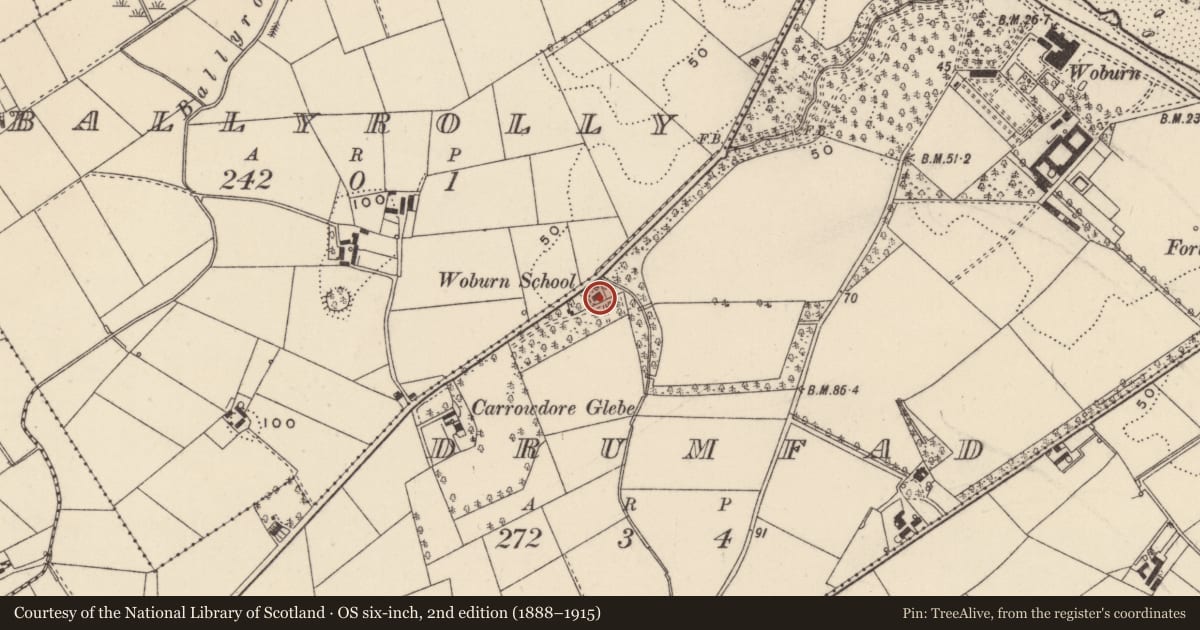 Ordnance Survey six-inch map, 2nd edition (1888–1915) covering the location of Woburn Cottage, Drumfad, Ards and North Down, with a pin at the register's coordinates
