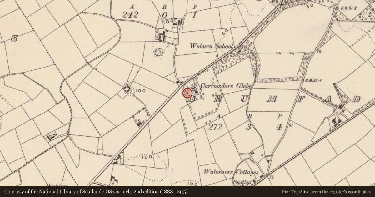 Ordnance Survey six-inch map, 2nd edition (1888–1915) covering the location of Carrowdore Rectory, Drumfad, Ards and North Down, with a pin at the register's coordinates