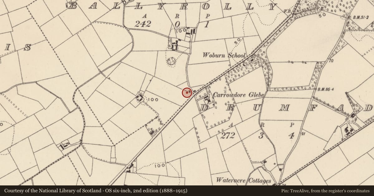 Ordnance Survey six-inch map, 2nd edition (1888–1915) covering the location of 39 Woburn Road, Ballyrolly, Ards and North Down, with a pin at the register's coordinates