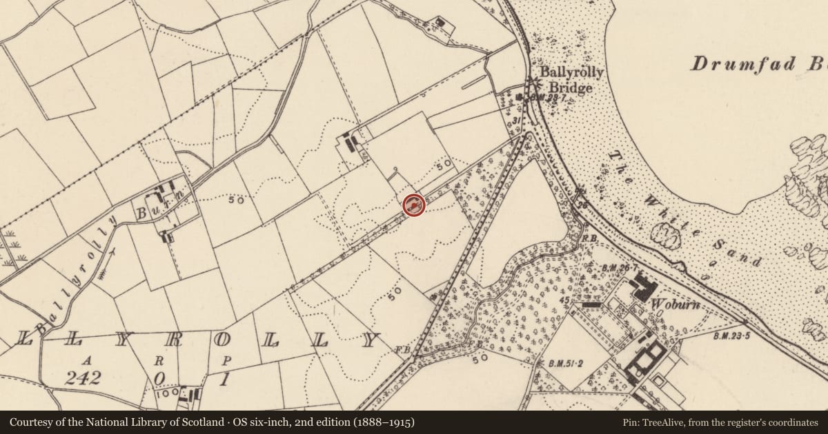 Ordnance Survey six-inch map, 2nd edition (1888–1915) covering the location of 112 Ballywalter Road, Ballyrolly, Ards and North Down, with a pin at the register's coordinates