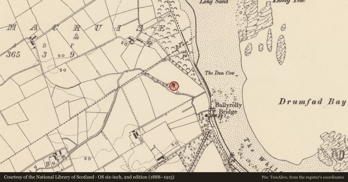 Ordnance Survey six-inch map, 2nd edition (1888–1915) covering the location of Former ‘Woburn Stores’, Ballyrolly, Ards and North Down, with a pin at the register's coordinates