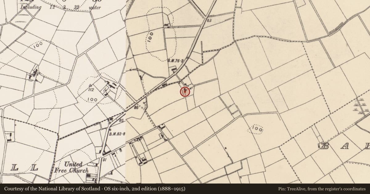 Ordnance Survey six-inch map, 2nd edition (1888–1915) covering the location of Brookvale, Ballyfrenis, Ards and North Down, with a pin at the register's coordinates