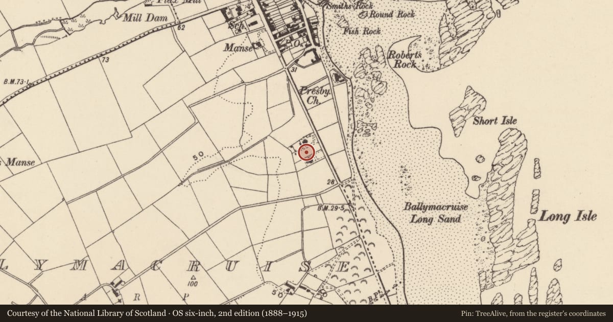 Ordnance Survey six-inch map, 2nd edition (1888–1915) covering the location of 40-42 Ballywalter Road, Ballymacruise, Ards and North Down, with a pin at the register's coordinates