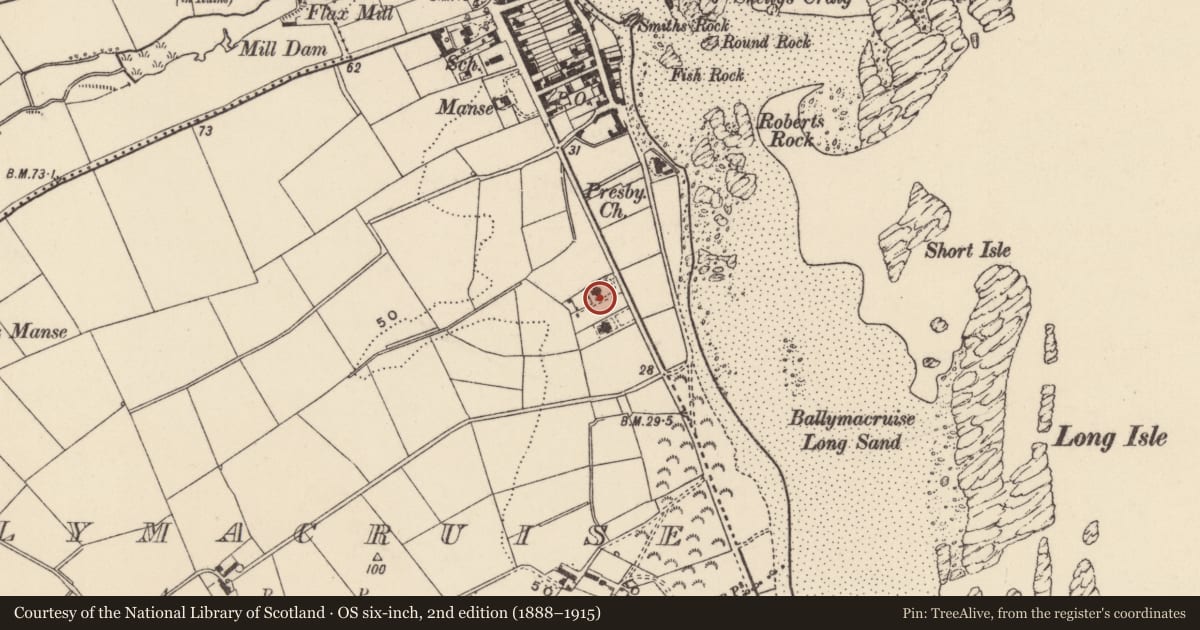 Ordnance Survey six-inch map, 2nd edition (1888–1915) covering the location of 36-38 Ballywalter Road, Ballymacruise, Ards and North Down, with a pin at the register's coordinates