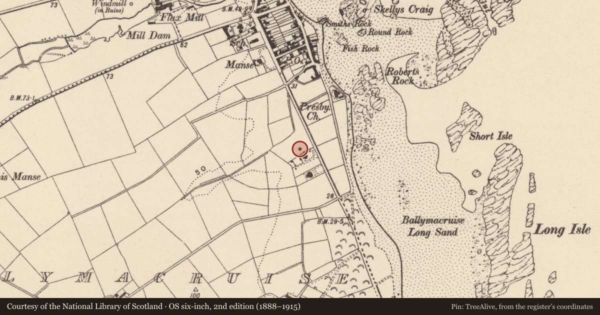 Ordnance Survey six-inch map, 2nd edition (1888–1915) covering the location of 32-34 Ballywalter Road, Ballymacruise, Ards and North Down, with a pin at the register's coordinates