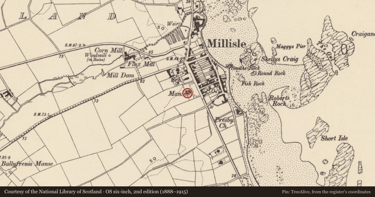 Ordnance Survey six-inch map, 2nd edition (1888–1915) covering the location of Presbyterian Manse, Ballymacruise, Ards and North Down, with a pin at the register's coordinates