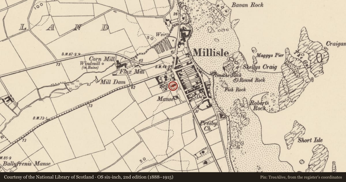 Ordnance Survey six-inch map, 2nd edition (1888–1915) covering the location of Former Church School, Ballymacruise, Ards and North Down, with a pin at the register's coordinates