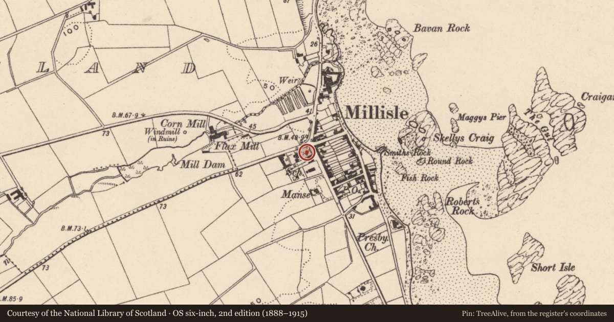Ordnance Survey six-inch map, 2nd edition (1888–1915) covering the location of 24 Main Street, Ballymacruise, Ards and North Down, with a pin at the register's coordinates