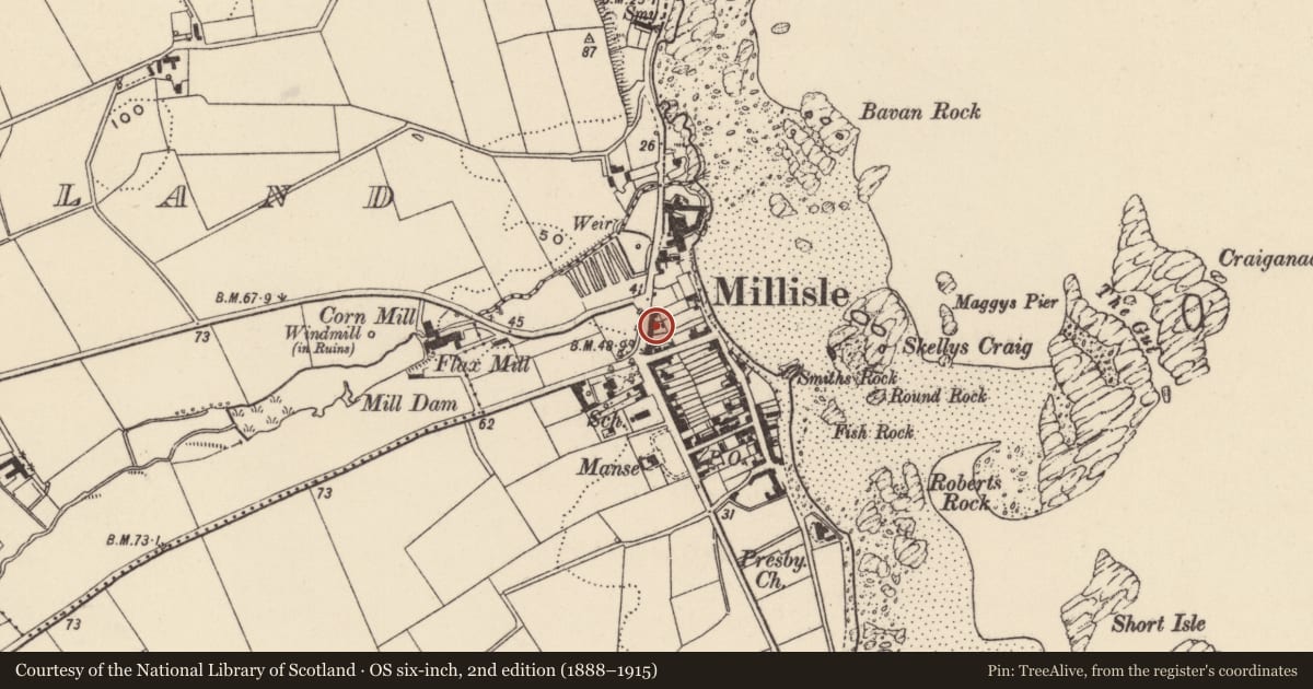 Ordnance Survey six-inch map, 2nd edition (1888–1915) covering the location of 31 Main Street, Ballymacruise, Ards and North Down, with a pin at the register's coordinates