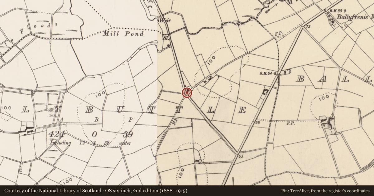Ordnance Survey six-inch map, 2nd edition (1888–1915) covering the location of 10 Ballybuttle Road, Ards and North Down, with a pin at the register's coordinates