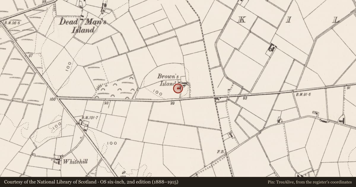 Ordnance Survey six-inch map, 2nd edition (1888–1915) covering the location of Brown's Island, Drumawhy, Ards and North Down, with a pin at the register's coordinates