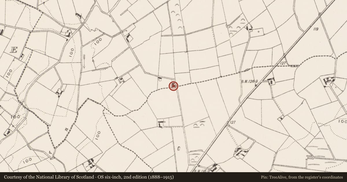 Ordnance Survey six-inch map, 2nd edition (1888–1915) covering the location of 3 Drumawhey Road, Drumawhy, Ards and North Down, with a pin at the register's coordinates