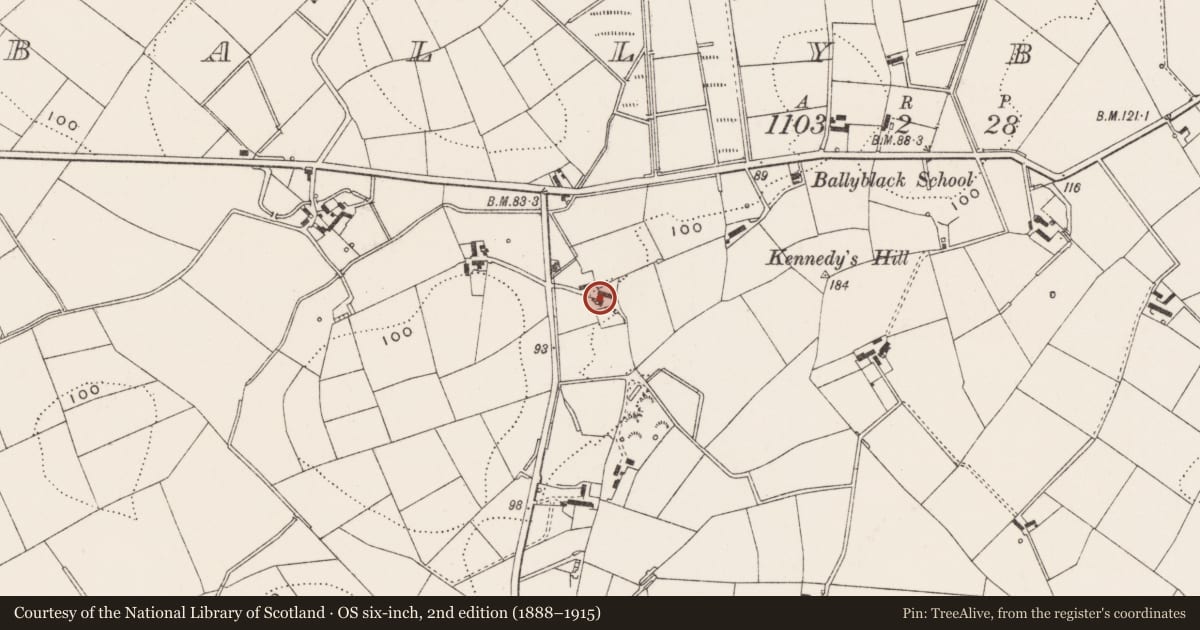 Ordnance Survey six-inch map, 2nd edition (1888–1915) covering the location of Rookmount, Ballyblack, Ards and North Down, with a pin at the register's coordinates