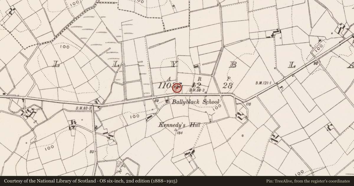 Ordnance Survey six-inch map, 2nd edition (1888–1915) covering the location of 38 Ballyblack Road, Ards and North Down, with a pin at the register's coordinates