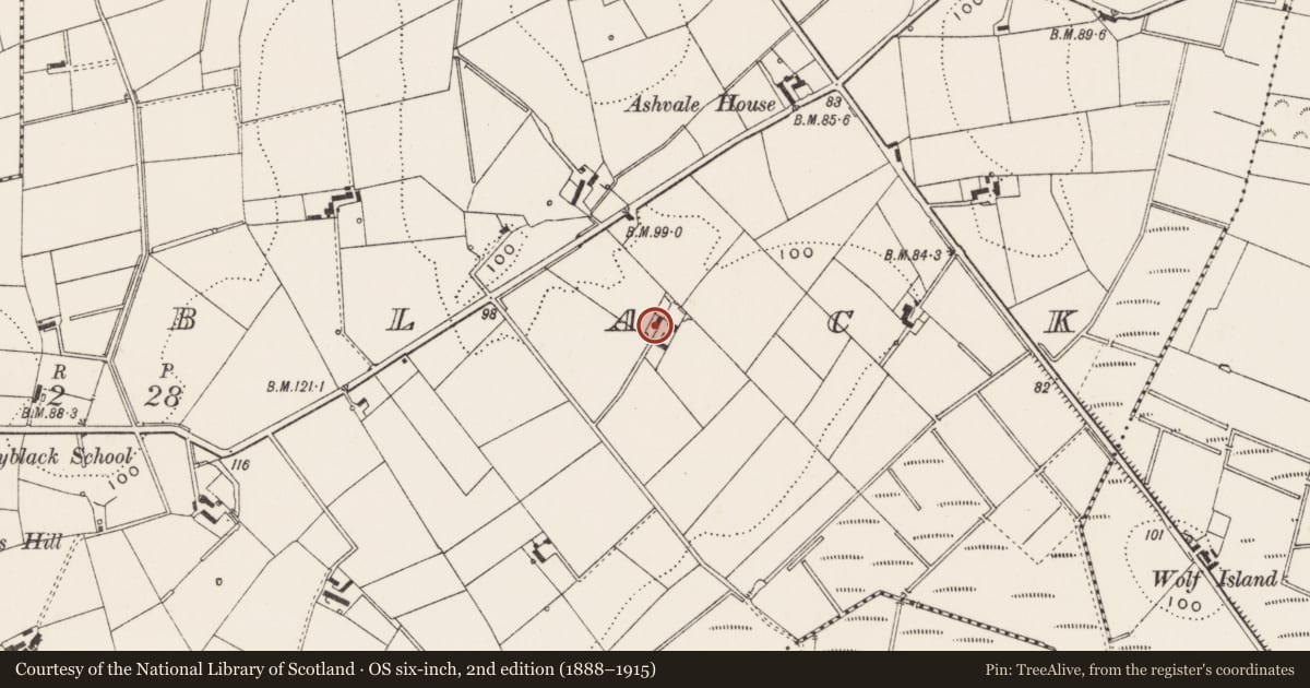 Ordnance Survey six-inch map, 2nd edition (1888–1915) covering the location of The Poplars, Ballyblack, Ards and North Down, with a pin at the register's coordinates