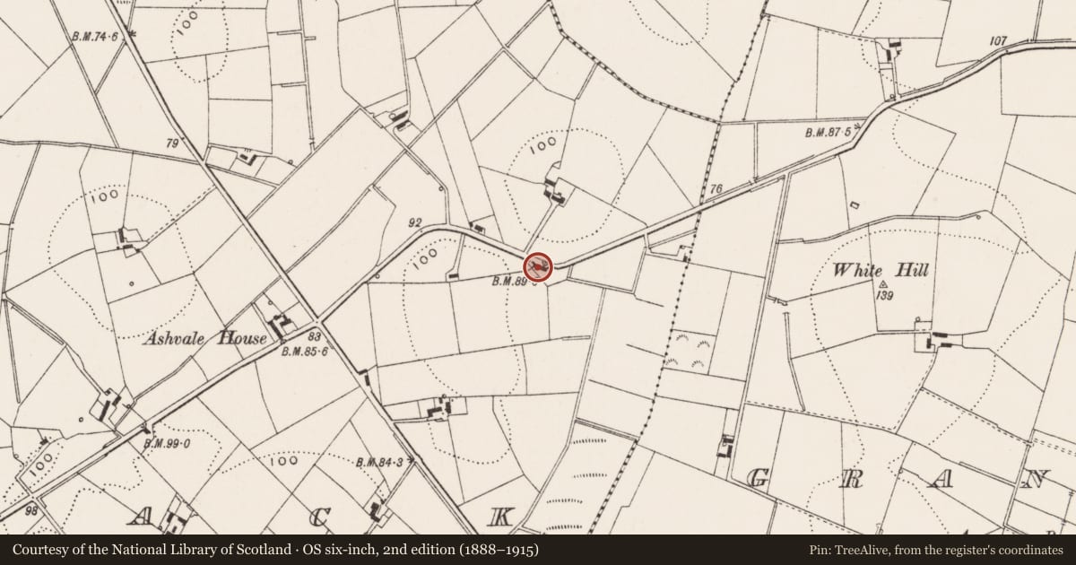 Ordnance Survey six-inch map, 2nd edition (1888–1915) covering the location of Ashbrook, Ballyblack, Ards and North Down, with a pin at the register's coordinates