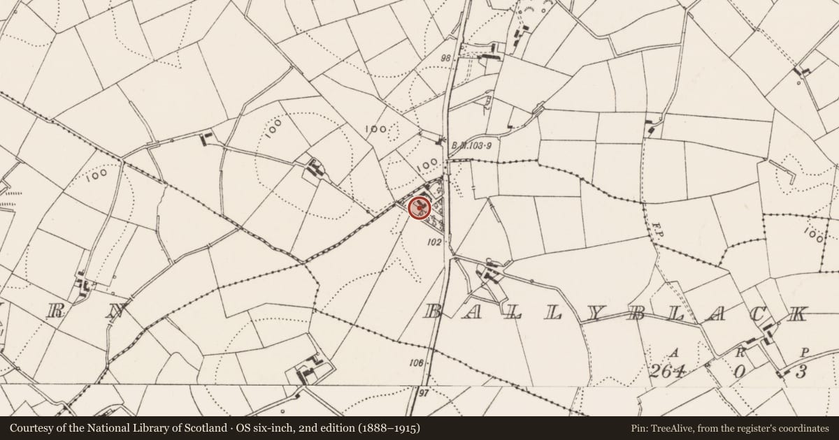 Ordnance Survey six-inch map, 2nd edition (1888–1915) covering the location of 14 Ballycastle Road, Ballyblack Little, Ards and North Down, with a pin at the register's coordinates