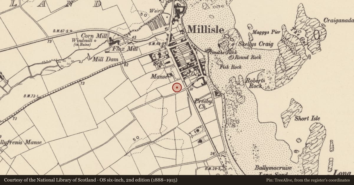 Ordnance Survey six-inch map, 2nd edition (1888–1915) covering the location of St. Patrick’s C of I Church, Ballymacruise, Ards and North Down, with a pin at the register's coordinates