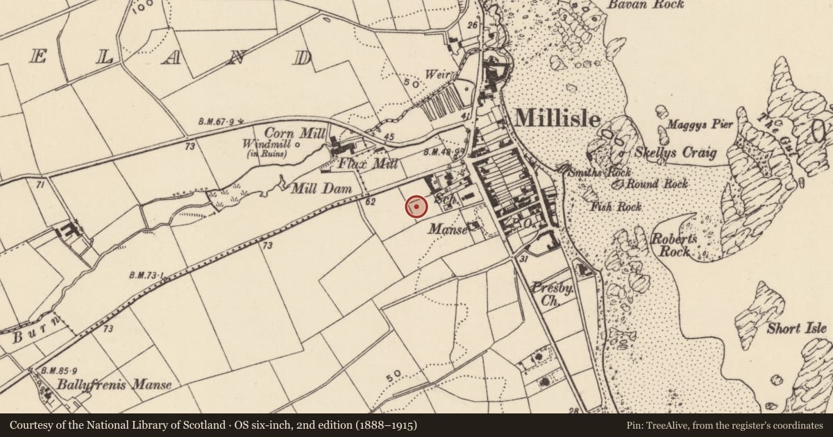 Ordnance Survey six-inch map, 2nd edition (1888–1915) covering the location of Millisle Primary School, Ballymacruise, Ards and North Down, with a pin at the register's coordinates