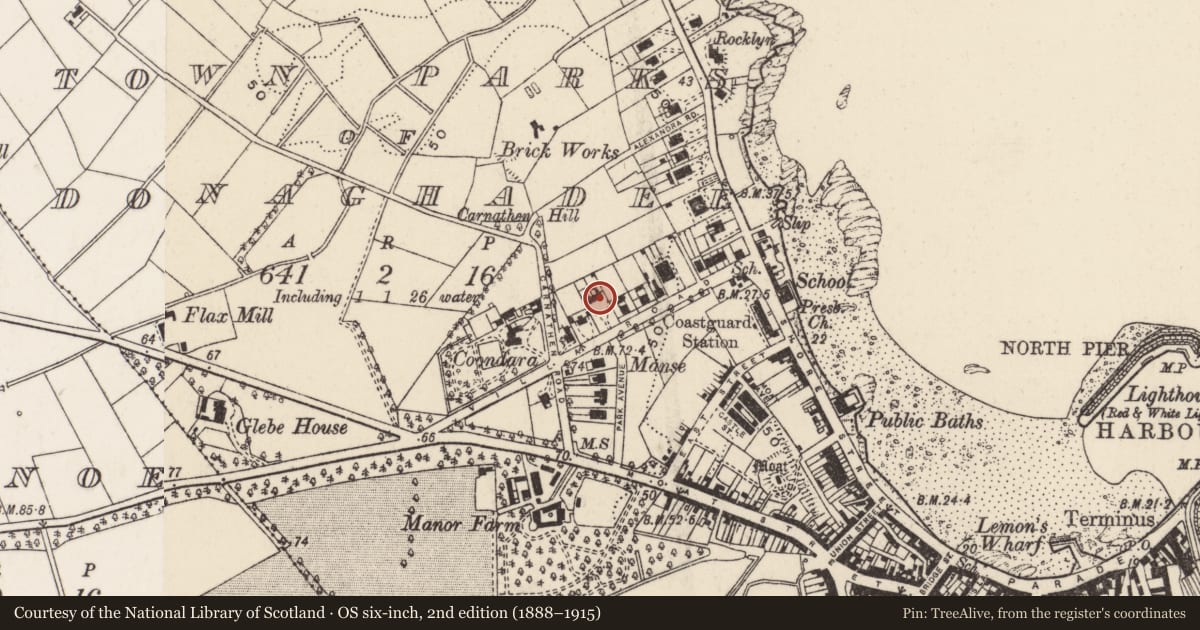 Ordnance Survey six-inch map, 2nd edition (1888–1915) covering the location of 33 New Road, Town parks of Donaghadee, Ards and North Down, with a pin at the register's coordinates