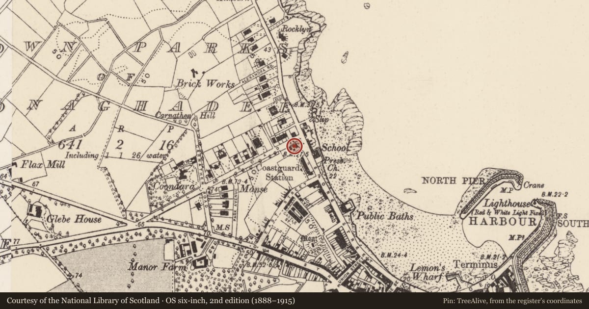 Ordnance Survey six-inch map, 2nd edition (1888–1915) covering the location of 16-16a Warren Road, Ards and North Down, with a pin at the register's coordinates