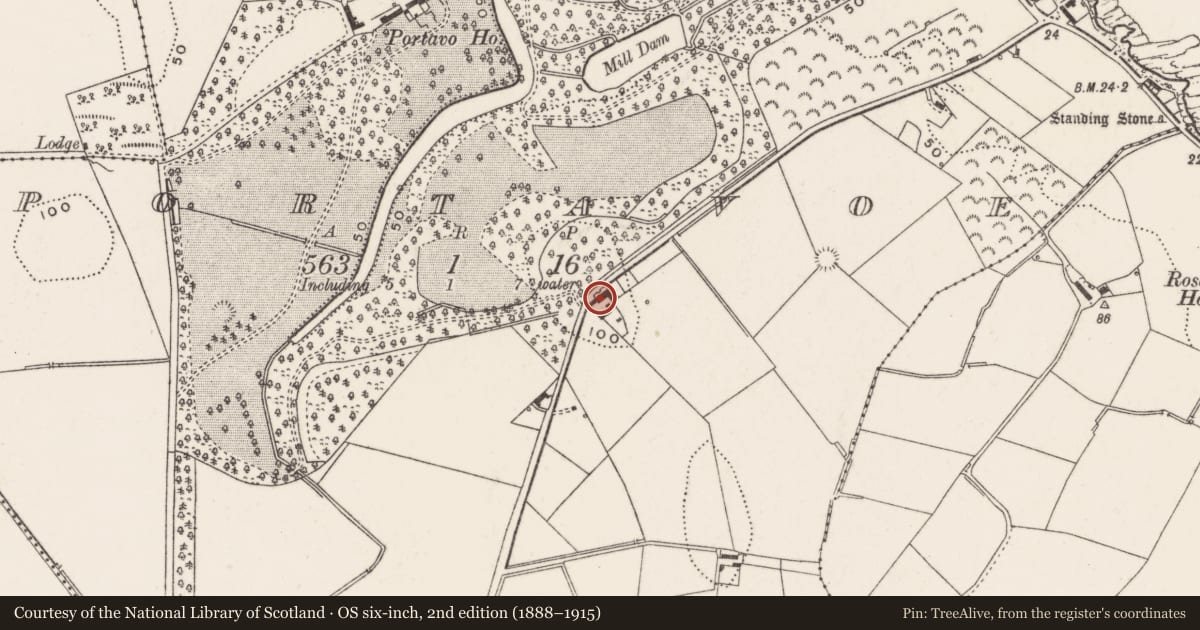 Ordnance Survey six-inch map, 2nd edition (1888–1915) covering the location of House near [?32] Stockbridge Road, Portavoe, Ards and North Down, with a pin at the register's coordinates