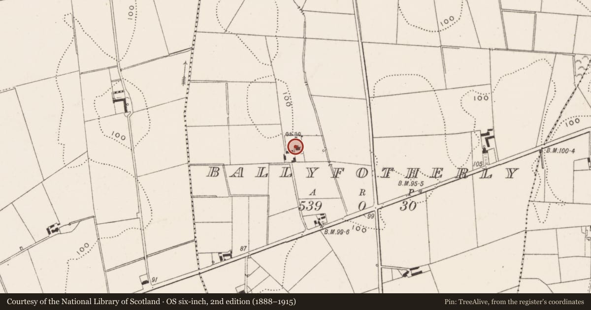 Ordnance Survey six-inch map, 2nd edition (1888–1915) covering the location of 71 Newtownards Road, Ballyfotherley, Ards and North Down, with a pin at the register's coordinates