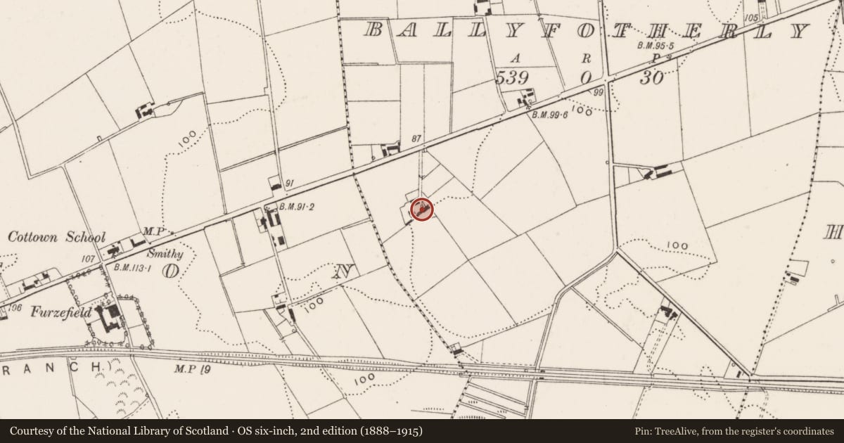Ordnance Survey six-inch map, 2nd edition (1888–1915) covering the location of 'Ashdene, ', Ballyfotherley, Ards and North Down, with a pin at the register's coordinates