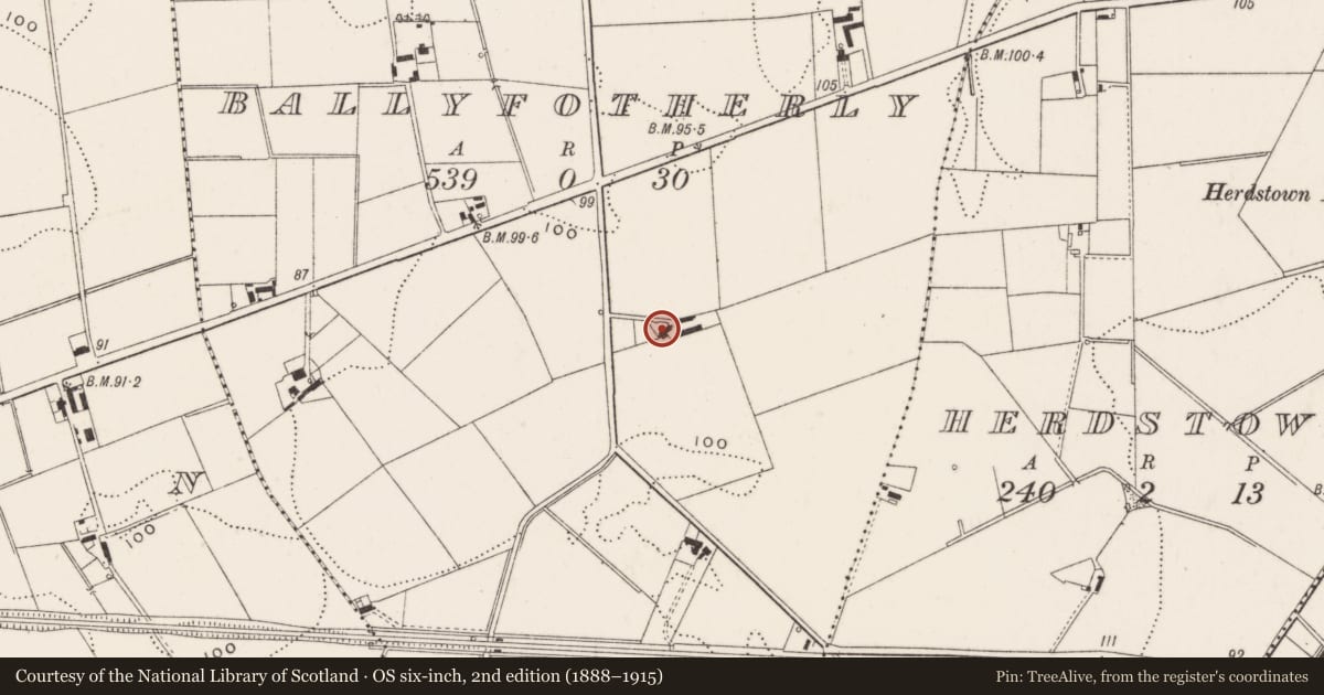 Ordnance Survey six-inch map, 2nd edition (1888–1915) covering the location of 55 Hogstown Road, Ballyfotherly, Ards and North Down, with a pin at the register's coordinates