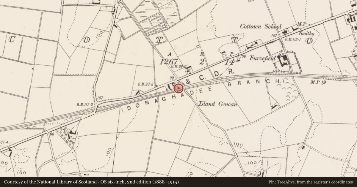 Ordnance Survey six-inch map, 2nd edition (1888–1915) covering the location of Former railway bridge, Cotton, Ards and North Down, with a pin at the register's coordinates