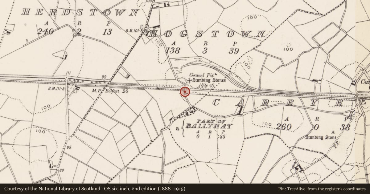 Ordnance Survey six-inch map, 2nd edition (1888–1915) covering the location of Bridge, Hogstown, Ards and North Down, with a pin at the register's coordinates