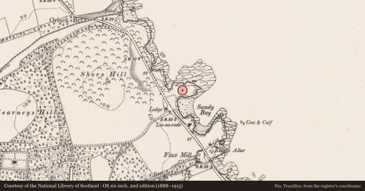 Ordnance Survey six-inch map, 2nd edition (1888–1915) covering the location of The Stone House, Portavoe, Ards and North Down, with a pin at the register's coordinates
