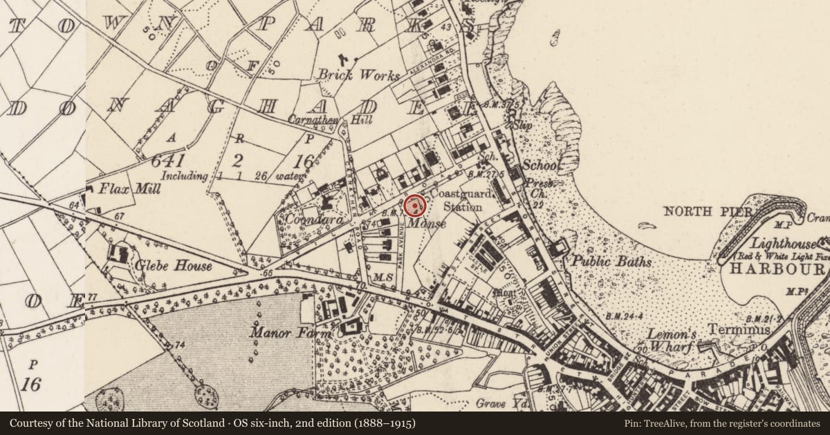 Ordnance Survey six-inch map, 2nd edition (1888–1915) covering the location of 14 New Road, Town parks of Donaghadee, Ards and North Down, with a pin at the register's coordinates