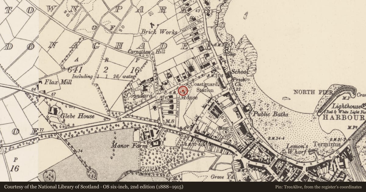 Ordnance Survey six-inch map, 2nd edition (1888–1915) covering the location of 16 New Road, Town Parks of Donaghadee, Ards and North Down, with a pin at the register's coordinates
