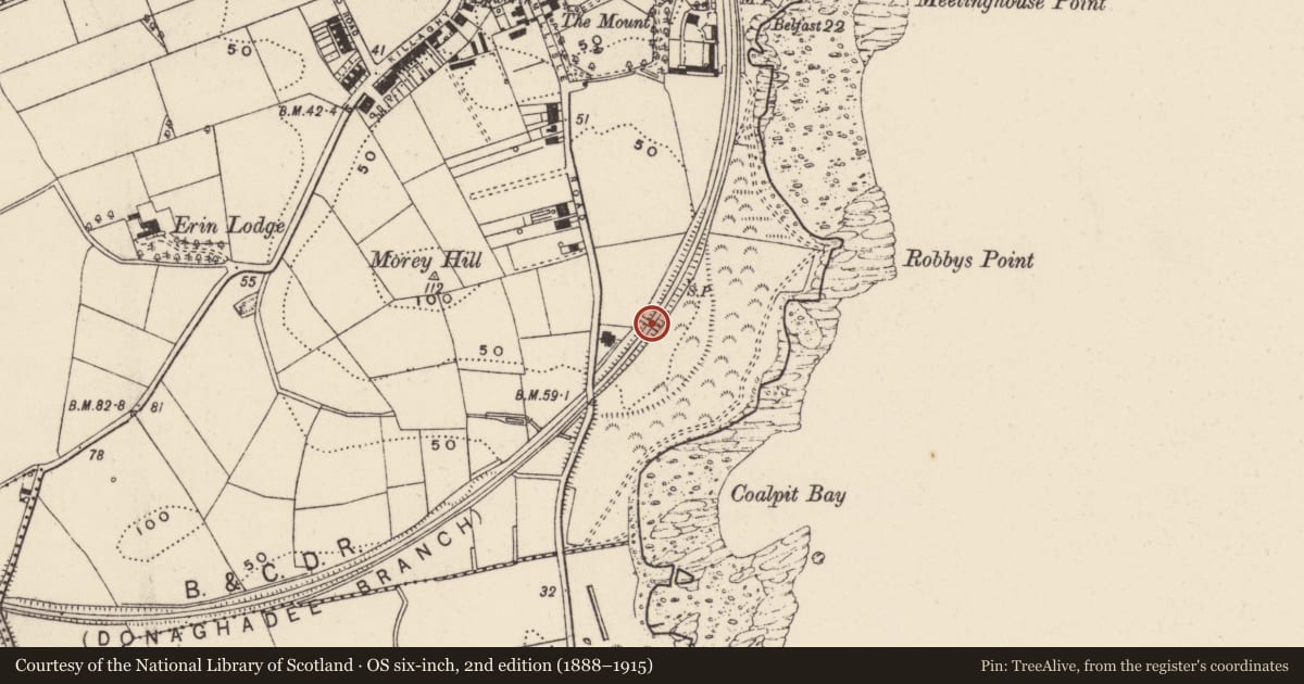 Ordnance Survey six-inch map, 2nd edition (1888–1915) covering the location of Railway overbridge (to The Commons), Donaghadee, Ards and North Down, with a pin at the register's coordinates