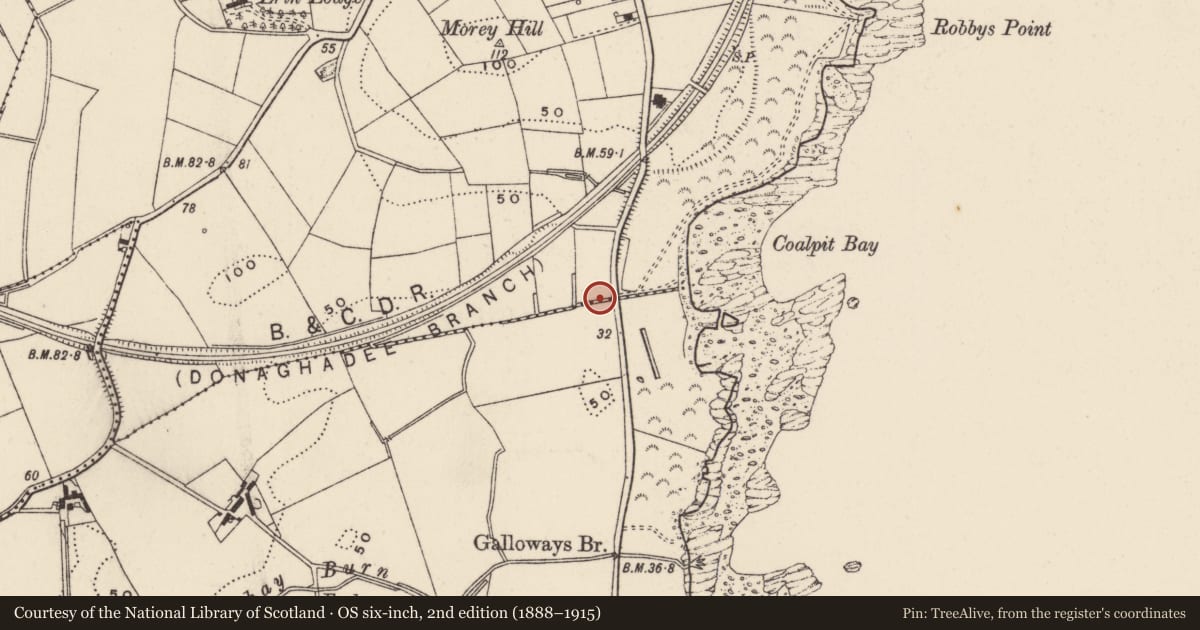 Ordnance Survey six-inch map, 2nd edition (1888–1915) covering the location of 105-131 Millisle Road, Donaghadee, Ards and North Down, with a pin at the register's coordinates