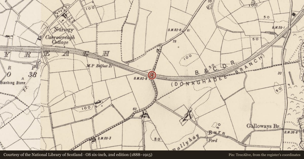 Ordnance Survey six-inch map, 2nd edition (1888–1915) covering the location of [Former railway] bridge, Donaghadee, Ards and North Down, with a pin at the register's coordinates