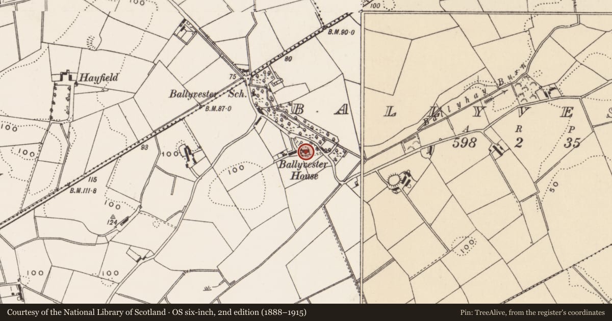Ordnance Survey six-inch map, 2nd edition (1888–1915) covering the location of Ballyvester House, Ards and North Down, with a pin at the register's coordinates