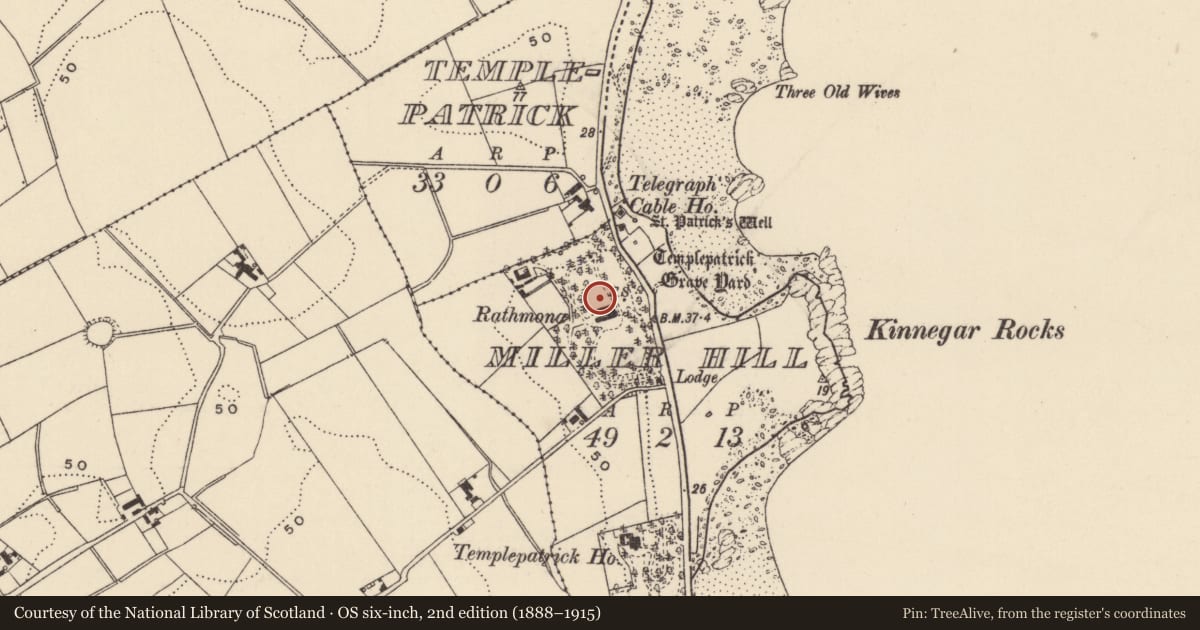 Ordnance Survey six-inch map, 2nd edition (1888–1915) covering the location of Former Old Forge Hotel, Miller Hill, Ards and North Down, with a pin at the register's coordinates