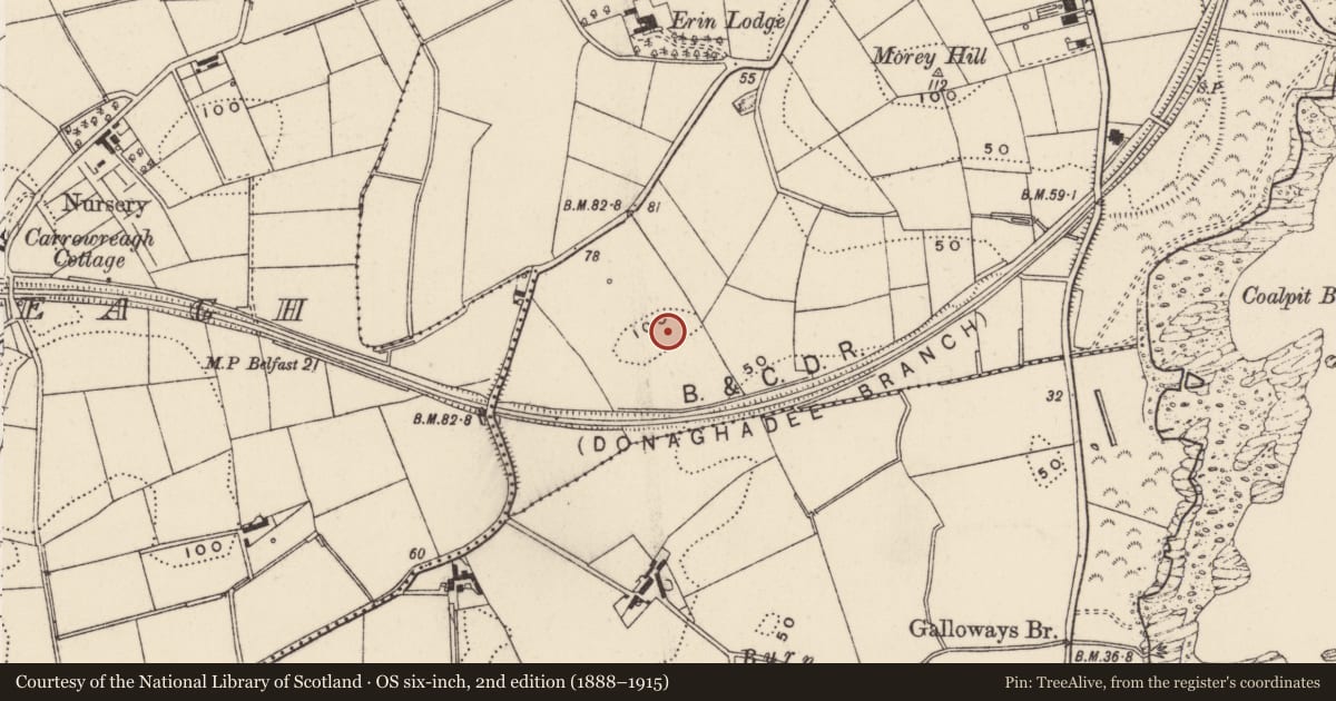 Ordnance Survey six-inch map, 2nd edition (1888–1915) covering the location of Water Tower, Donaghadee, Ards and North Down, with a pin at the register's coordinates