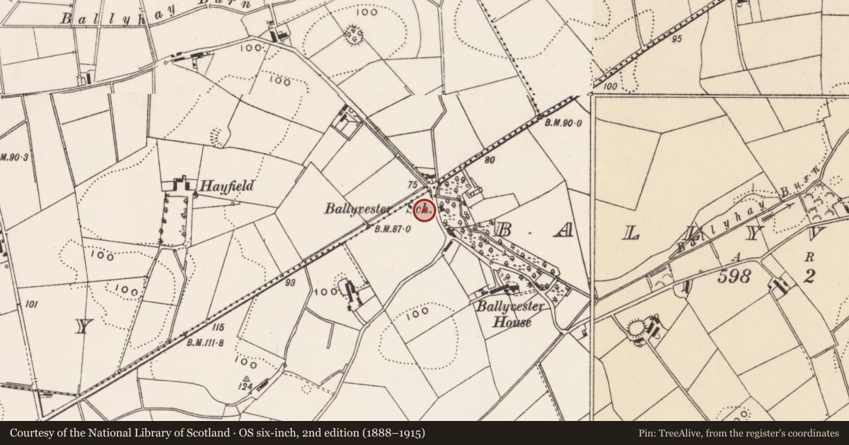Ordnance Survey six-inch map, 2nd edition (1888–1915) covering the location of Ballyvester School, Ards and North Down, with a pin at the register's coordinates