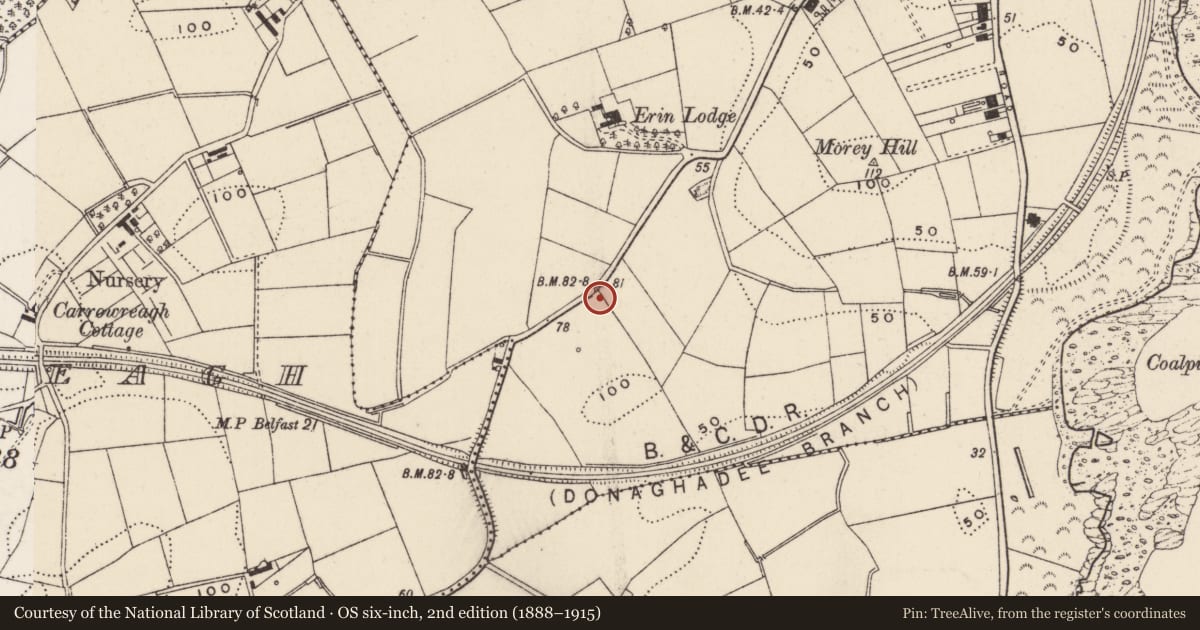 Ordnance Survey six-inch map, 2nd edition (1888–1915) covering the location of Telephone kiosk, Donaghadee, Ards and North Down, with a pin at the register's coordinates